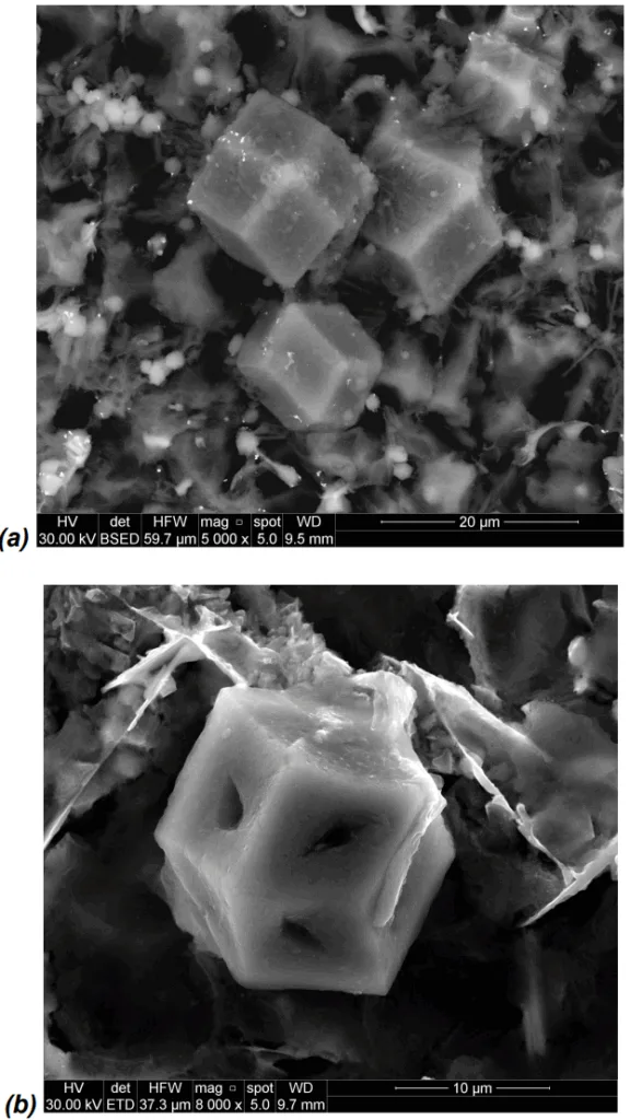 Fig. 7. SEM micrographs of sludge particles in the
diecast experimental AlSi9Cu3(Fe) alloys with (a)
0.057 and (b) 0.153 wt.% Cr after deep-etching.