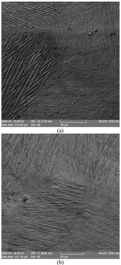 Fig. 2. SEM realized microstructure of shape memory alloy Cu54.9Zn26.5Al6.44; (a) deformed by forging state; (b) tensioned state.