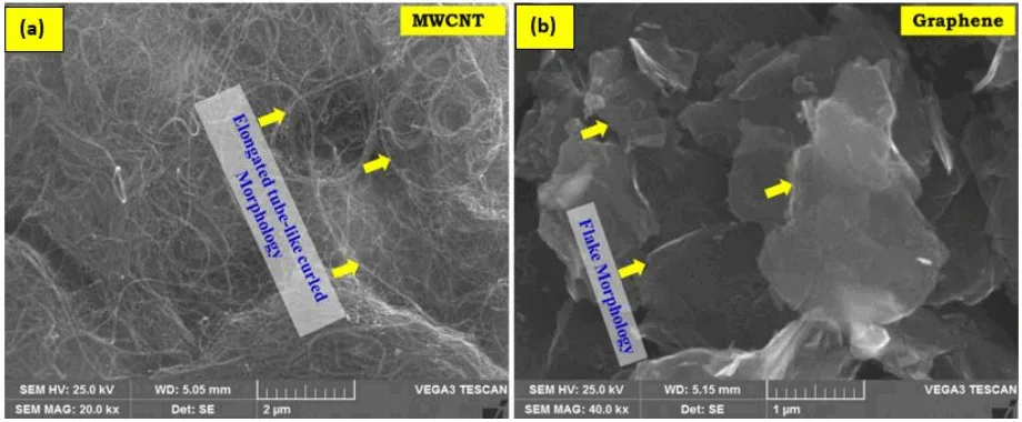 Figure 1. SEM morphologies of reinforcement materials: (a) MWCNT Nano-powder and (b) Graphene Nano-powder in pristine state.