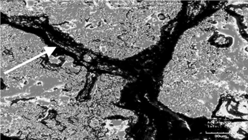 Figure 1: Grain boundaries after the KCl squeezing ( = 1.85 g cm–3, bending strength = 8.8 MPa)