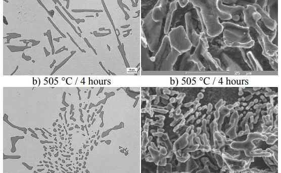 Fig. 5. Effect of solution treatment conditions on morpho-logy of eutectic Si, etch. Dix-Keller Fig. 6. Morphology of eutectic Si after deep-etching, etch. HCl, SEM