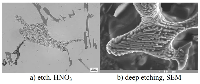 Fig. 7. Morphology of Cu- phase (Al-Al2Cu-Si) 