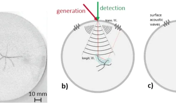 Fig. 1. a) cross section of a slab with solidification cracks, b) Reflection configuration: Excitation laser and detection laser are arranged at the same spot. Ultrasonic waves are induced in the sample by an pulsed excitation laser (red), propagate through the sample and get reflected or scattered by interfaces (cracks, blowholes,…). The detection of reflected and scattered ultrasonic waves is realized with a two wave beam mixing interferometer (green). c) Transmission configuration: Excitation laser (red) and detection laser (green) are arranged at the opposite side of the sample.