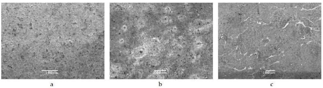 Figure 1 - SEM images of a zinc die cast sample surface (a) before and after immersion in a 0.5M sodium chloride solution for (b) 30 and (c) 60 minutes.