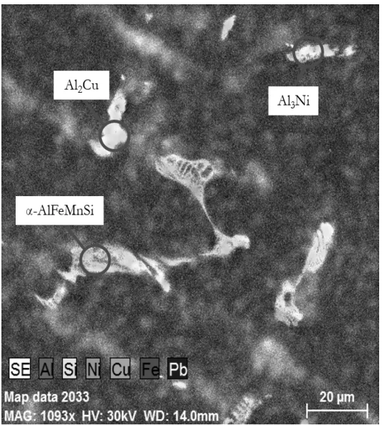 Fig. 7 Element map of sample BK2