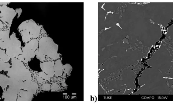 Fig. 2. Character of crack propagation in structure of casting with not acceptable defect documented by LM (a) and SEM (b)