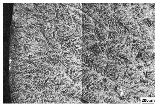 Fig. 6. Microstructure as a result of directional solidification