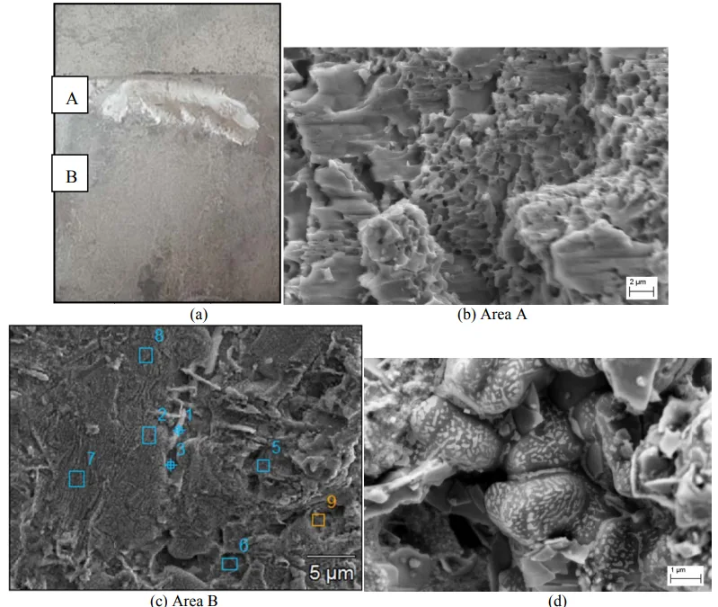 Fig. 7 (a) Shear tensile fracture surface of Zn coated steel sheet; (b) rough area A; (c) flat area B and EDX measuring area; (d) enlarged area in flat area B ("asian script" zone: light spots: high Zn content approximately 60-70 wt. %, Rest: Al; dark: lower content of Zn of approximately 50 wt. %, Rest Al.