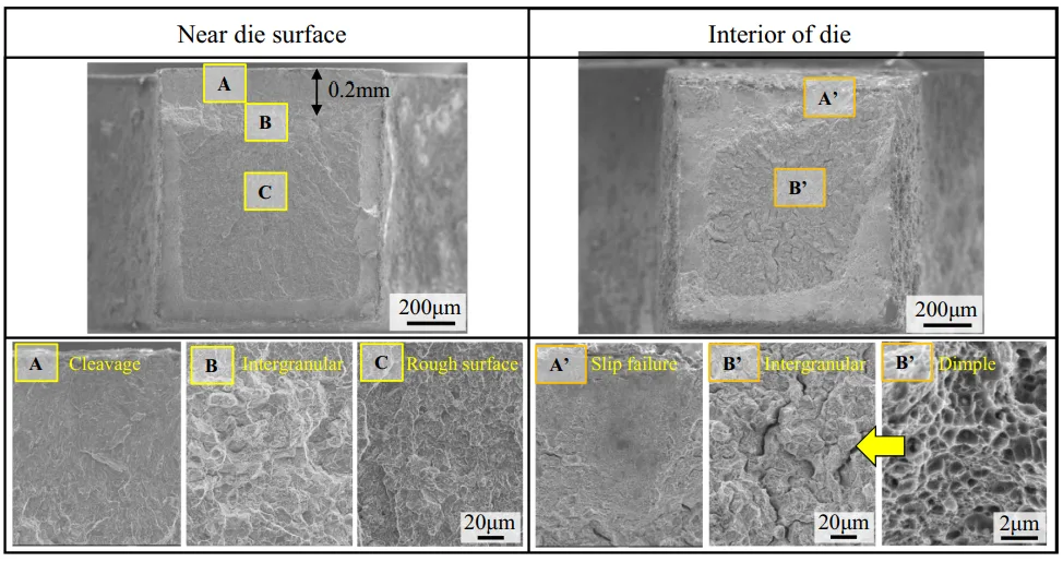 Figure 5. SEM images of the fracture surfaces for samples obtained from the region near the die surface and the interior of the die after tensile testing.