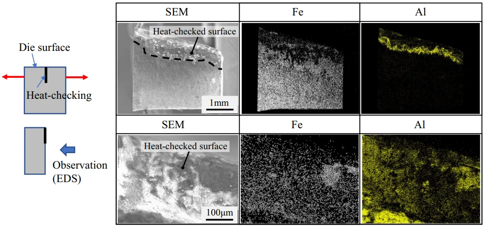Figure 8. EDS mappings of the heat-checked surfaces