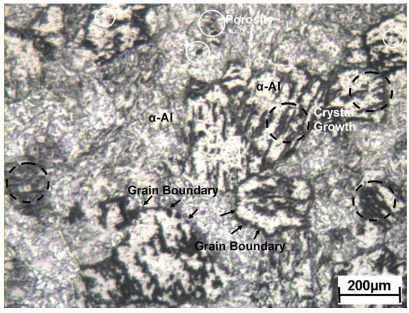 Fig. 2(a). Optical micrographs (etched) of CP-Al prepared at 100 MPa