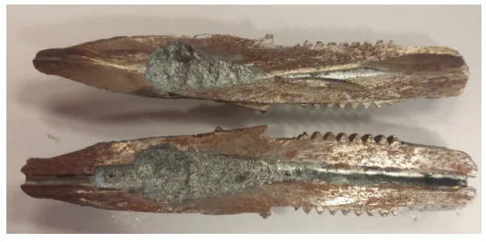 Figure 5. Sample 2 - Wear sustained by an injection nozzle (original design) after 17 days of use, at an injection rate of 500 injections per hour. 
