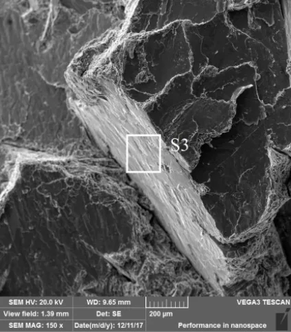 Fig. 10 Area analysis of the sample