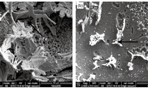 Fig. 2: Microstructures of Al-5.0Cu-0.6Mn-0.5Fe alloy under pressures of 0 MPa (a) and 75 MPa (b) [19]