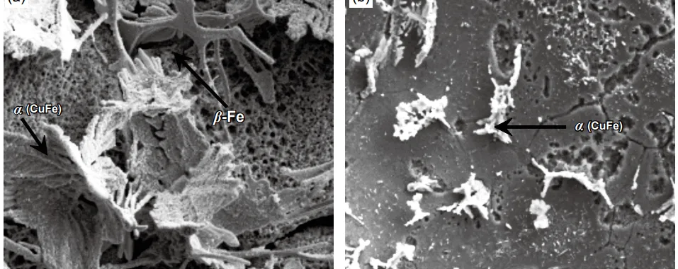 Fig. 2: Microstructures of Al-5.0Cu-0.6Mn-0.5Fe alloy under pressures of 0 MPa (a) and 75 MPa (b) [19]