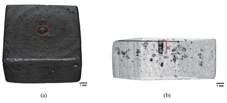 Fig. 4. (Color online) Three-dimensional CT images of ADC sample 1: (a) greyscale CT image and (b) side-view
transparent CT image.