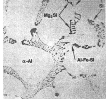 Fig 2 Typical microstructure of type A357.0 hypoeutectic alloy.