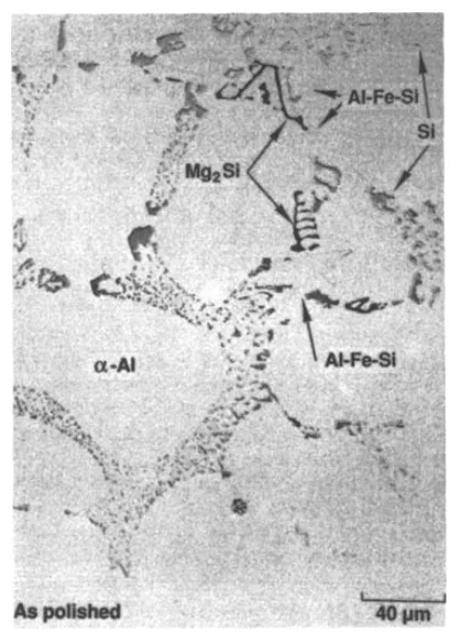 Fig 2 Typical microstructure of type A357.0 hypoeutectic alloy.