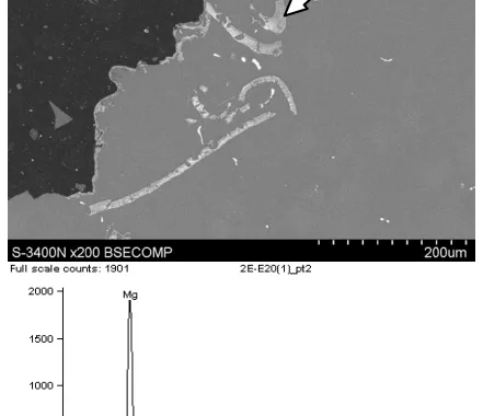Fig. 6. EDS analysis of impurities, narrow points the area of analysis
