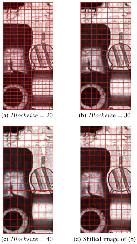 Fig. 2. Examples of block division