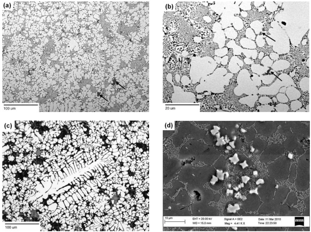 Fig. 2. (a) Typical gate microstructure containing primary α-Al, Al+Si eutectic and intermetallics. (b) Higher magnification showing fine eutectic structure between primary α-Al. Arrows in (a) and (b) indicate intermetallics. (c) A large dendritic ESC after etching. (d) Secondary electron SEM image of α-type Alx(Mn,Fe)ySiz intermetallics (bright). 