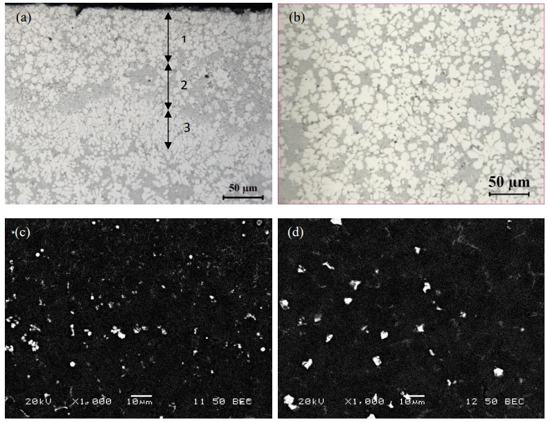 Figure 1. Microstructure of the as-cast HPVD sample: optical images near cast surface (a) and at the center (b); SEM electron backscattered images near cast surface (c) and at the center (d).