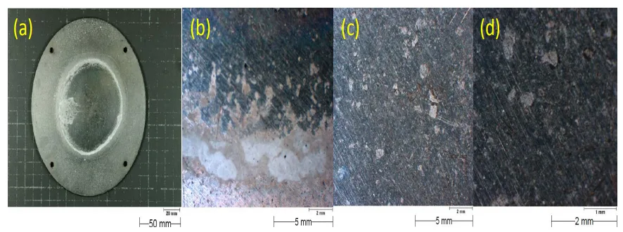 Figure 5.29: Salt deposition on AA6082 surface of MgSO4 solution of 60 g/l