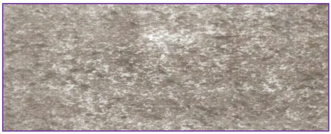 Figure 1. Micrograph of Spin Casting (x400)