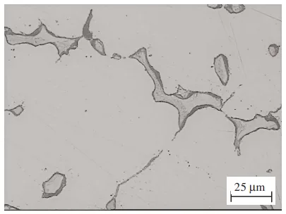 Fig. 4. Microstructure of AlMg10 alloy cast into a sand form, etched with 4% HF
