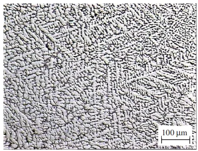Fig. 7. Microstructure of AlMg10 alloy cast into a metal form, etched with 4% HF 