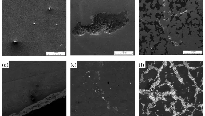 Figure 2: Scanning electron micrographs of oxidation samples after immersion for: a) 0.5 h, b) 1 h, c) 2 h; scanning electron micrographs of nitriding samples after immersion for d) 0.5 h, e) 1 h, f) 2 h