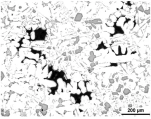 Fig. 1. Shrinkage porosity- microstructural image according to [4]