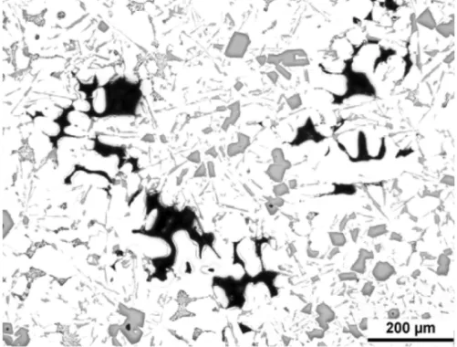 Fig. 1. Shrinkage porosity- microstructural image according to [4]