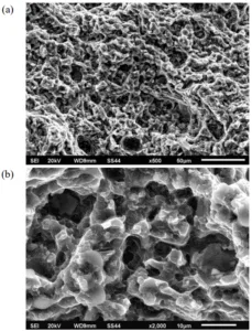 Fig. 6. SEM micrographs of fracture surface of HPDC AME505 alloy (after impact test)