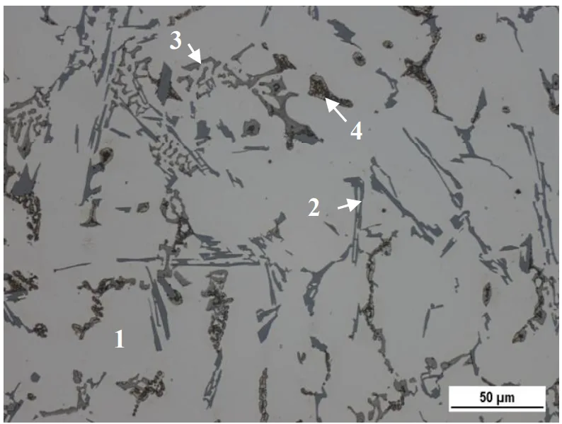 Fig. 3. Microstructure of delivered ingots from AlSi6Cu4, etch.
Dix-Keller.
1 – α-phase; 2 – eutectic Si; 3 – Fe-rich phase; 4 – Cu-rich phase