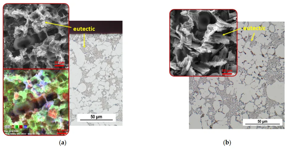 Figure 4. Images of the structure of the Z10 alloy casting in the cast state; OM, SEM: (a) surface region; (b) central region.