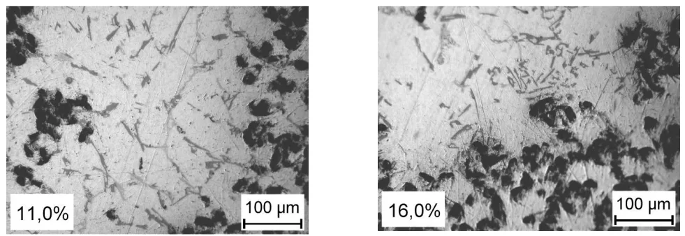 Fig. 8. Structure anomalies found in parts of composite casting 