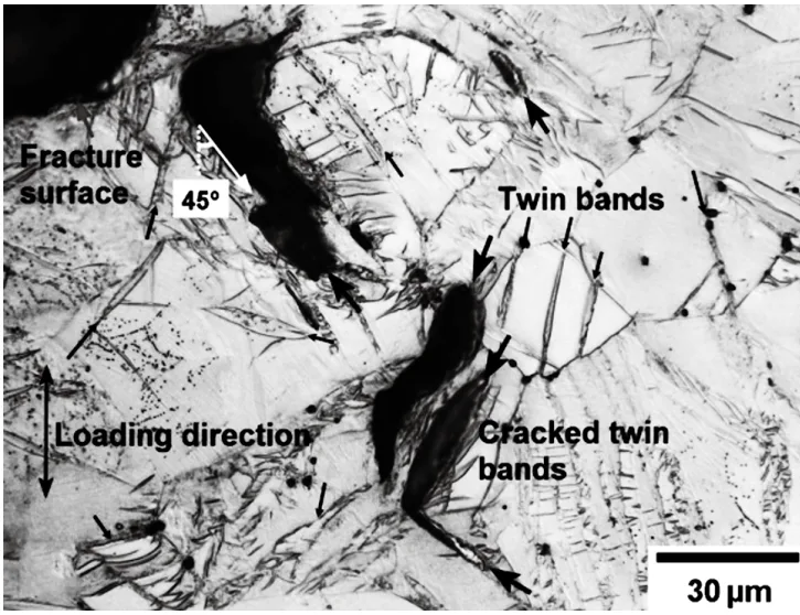 Fig. 2: SEM image showing crack initiation from twin bands in NZ30K1-T4 Mg alloy [24]