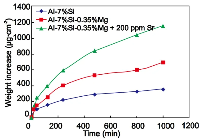 Fig. 4: Thermogravimetric analysis of oxidation rate of aluminum alloy (Al-7%Si) with or without Mg and Sr addition at 730 ºC