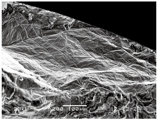 Fig. 10: An SEM picture of magnesium oxide film initiated fatigue crack in a NZ30K1 Mg alloy