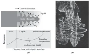 Fig.1: (a) If the liquid is under-cooled, a protuberance on the solid-liquid interface may grow rapidly as a dendrite. (b) Scanning electron micrograph of dendrites in steel.