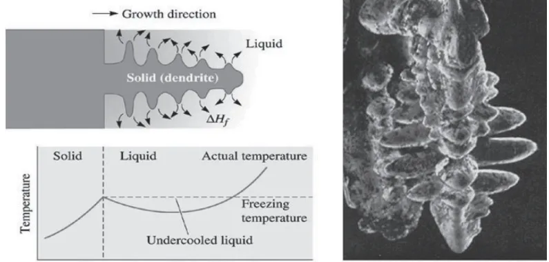 Fig.1: (a) If the liquid is under-cooled, a protuberance on the solid-liquid interface may grow rapidly as a dendrite. (b) Scanning electron micrograph of dendrites in steel.