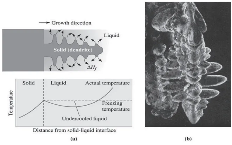 Fig.1: (a) If the liquid is under-cooled, a protuberance on the solid-liquid interface may grow rapidly as a dendrite. (b) Scanning electron micrograph of dendrites in steel.