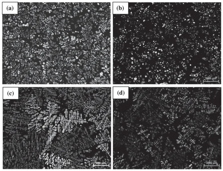 Fig. 8: Optical micrographs of specimen (a), (c) conventional and (b), (d) sheared, pouring temperature (a), (b) 590°C and (c),(d) 650 °C.