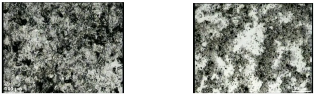 Figure 1. Refractory coats 