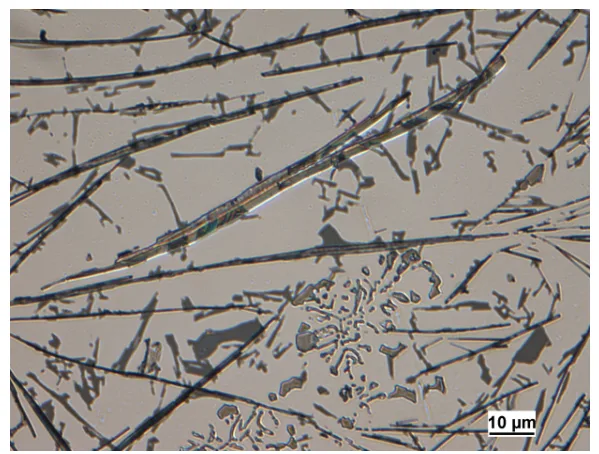 Fig. 3. Detail of large iron particle