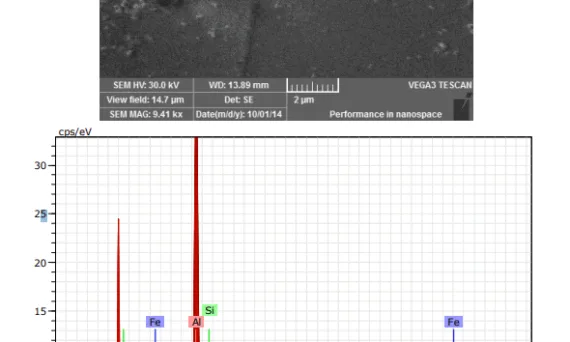 Fig. 4. EDX analysis of large iron particle