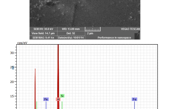 Fig. 4. EDX analysis of large iron particle