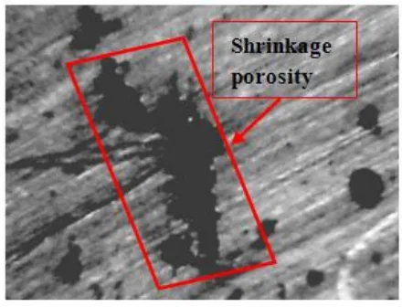 In the figure 9 are analyzed the dimensions of the shrinkage porosities with the microscope