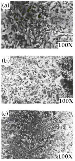 Figure 12: Microstructures of Al-Si-Mg-Fe alloy worn specimens (a) sand cast, (b) investment cast, and (c) die cast.
